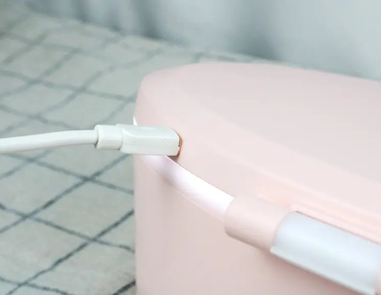 LED Makeup Mirror Desktop Girls Dormitory With Light Storage Box - 07BM